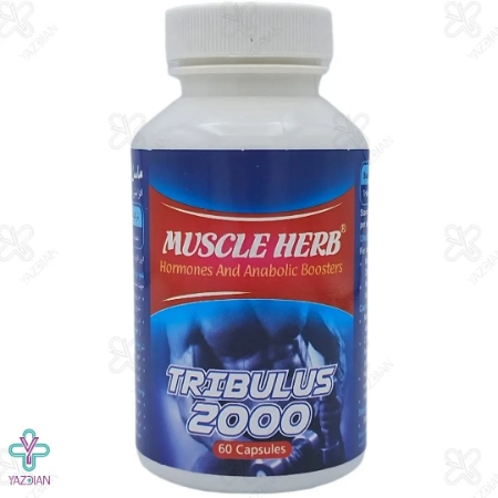 کپسول آقایان تریبولوس 2000 ماسل هرب بهتا دارو - 60 عددی
