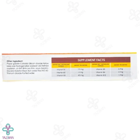 سافت ژل ویتامین ب نوروبیوژل فورت دانا - 40 عددی	