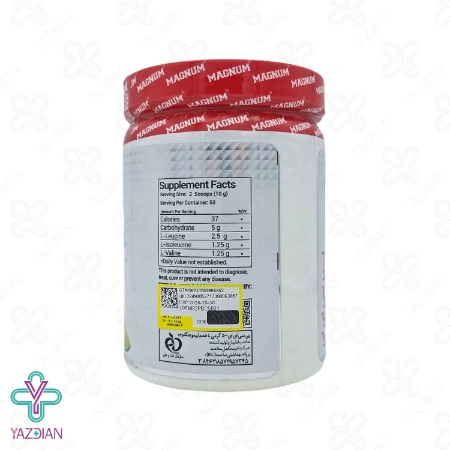 پودر بی سی ای ای BCAA مگنوم - 500 گرم	