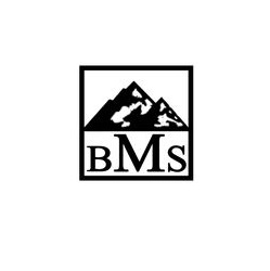 بی ام اس (BMS)