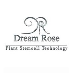 دریم رز (dreamrose)