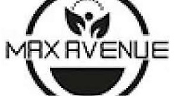 مکس اونیو(Max Avenue)
