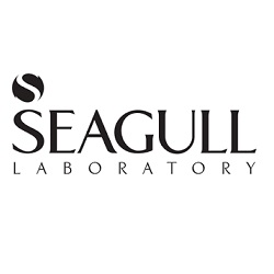 سی گل (seagull)