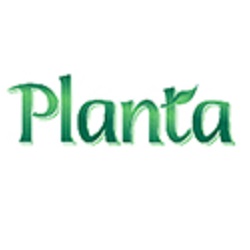 پلانتا (Planta)