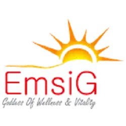 امسیگ (ٍEmsiG)