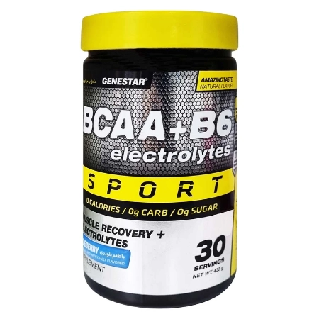 تصویر  پودر بی سی ای ای BCAA و ب6 ژن استار - 420 گرم